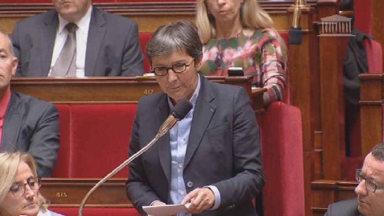 "Nous tremblons aujourd'hui d'effroi pour Serge Lazarevic", a lancé la députée PS Valérie Fourneyron dans une question sur le terrorisme