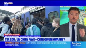 7h15 votre nouveau rendez-vous "BFM Nice et vous" . La tarification pour les animaux dans les TER