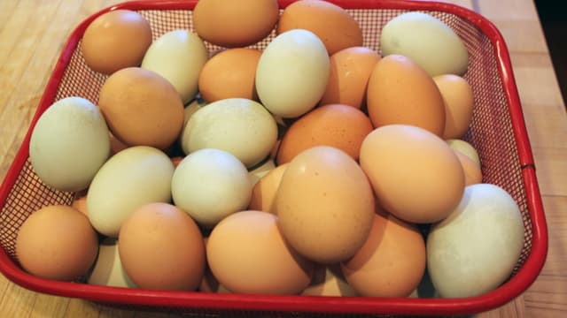 Des éleveurs européens, même bio, ont été floués par un fournisseur d'antiparasite.