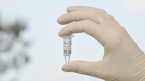 Un technicien montre un échantillon de prélèvement ADN, le 22 février 2013, au laboratoire Eurofins à Nantes.