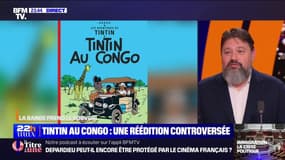 Tintin au Congo - 11/12