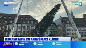 Strasbourg: le sapin du marché de Noël est arrivé place Kléber
