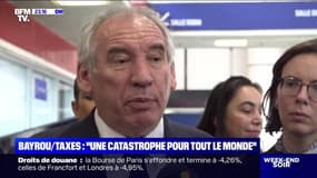 Bayrou/Taxes : "Une catastrophe pour tout le monde" - 04/04