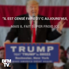 Donald Trump change un peu d'avis sur le changement climatique