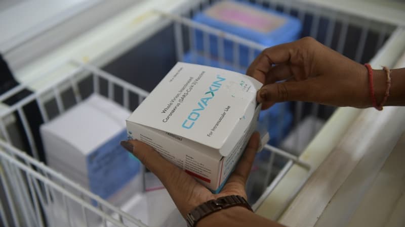 L'Inde est devenue la pharmacie du monde