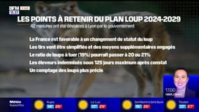 Var: le plan loup 2024-2029 dévoilé par le gouvernement 