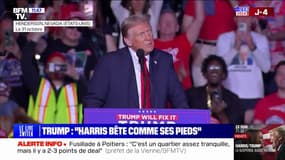 Élections américaines: Donald Trump s'attaque à Kamala Harris en la qualifiant de "bête comme ses pieds"