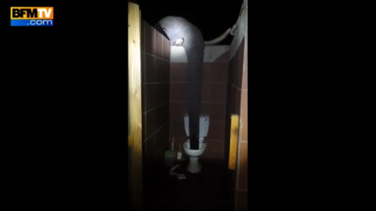 placeholder video