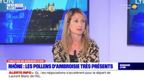 Rhône: forte présence des pollens d'ambroisie, les conseils d'une allergologue