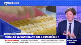 Variant BA.2: faut-il s'inquiéter ? BFMTV répond à vos questions 