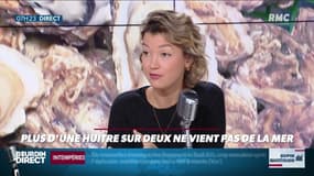 Dupin Quotidien : Plus d'une huitre sur deux ne vient pas de la mer - 02/12