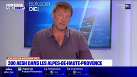 Alpes-de-Haute-Provence: y a-t-il assez d'AESH dans le département?