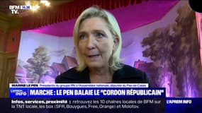 "J'espère que les Français seront extrêmement nombreux": Marine Le Pen s'exprime sur la marche contre l'antisémitisme