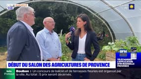 Bouches-du-Rhône: des mesures financières pour aider les agriculteurs touchés par la sécheresse