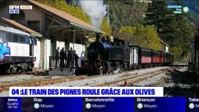 Alpes du Sud: un carburant à base d'olives pour faire avancer le train des pignes