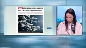 Maroc: un père de 9 enfants découvre qu'il est... stérile
