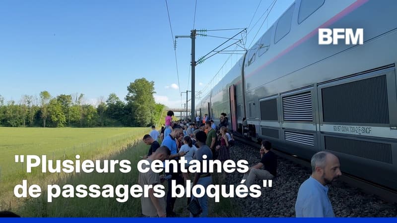 Canicule: un TGV arrêté en pleine voie au nord de Lyon depuis plusieurs heures