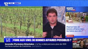 Peut-on faire de bonnes affaires dans les foires aux vins? BFMTV répond à vos questions 