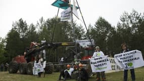 Des écologistes bloquent des engins forestiers utilisés pour la coupe des arbres de la forêt de Bialowieza (est de la Pologne), le 8 juin 2017