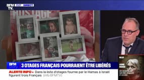 Story 2 : Trois otages français pourraient être libérés - 27/11