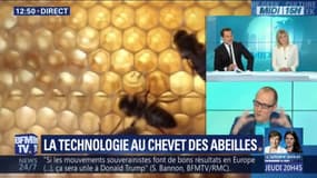 La technologie se met au chevet des abeilles. Pour les sauvegarder...ou les remplacer