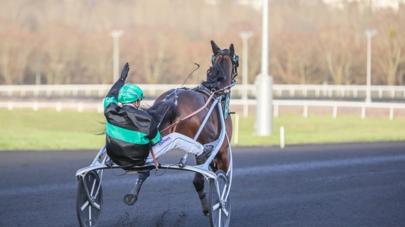 Krack Time Atout triomphe dans le Critérium des 5 ans