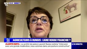 Intrusion d'agriculteurs à Rungis: "Je ne pense pas que ce soit la meilleure option", affirme Christiane Lambert (présidente du Comité des organisations professionnelles agricoles de l'UE)