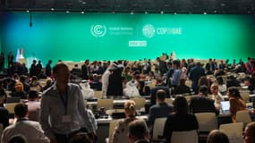 Les participants arrivent pour une session plénière lors du sommet climatique des Nations unies COP28 à Dubaï, le 13 décembre 2023. 