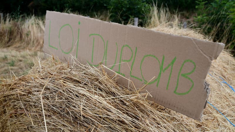 Privée de la réintroduction de l'acétamipride, que contient la loi agricole Duplomb promulguée par Emmanuel Macron?
