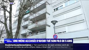 Seine-Saint-Denis: après la mort d'un garçon de 5 ans, sa mère en garde à vue