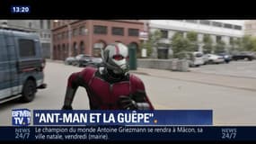 "Ant-man et la guêpe" sort en salles
