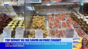 Marseille: top départ du 36e SAVIM au parc Chanot