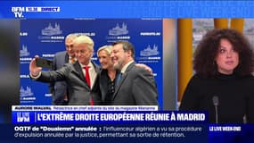 L'extrême droite européenne réunie à Madrid - 08/02