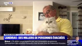 Des milliers de personnes évacuées face à l'incendie de Landiras en Gironde