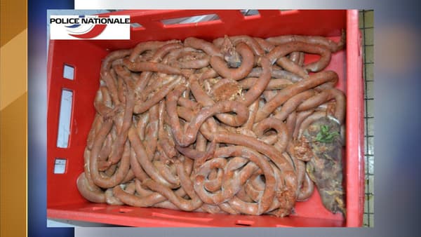 viande viande