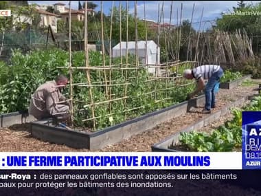 Nice: une ferme participative au Moulins