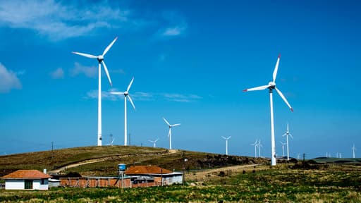 Une ferme éolienne à Palmas, au Brésil.