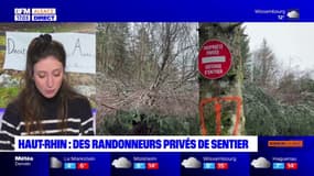 Haut-Rhin: des randonneurs privés de sentier en raison d'un secteur de forêt devenu propriété privée