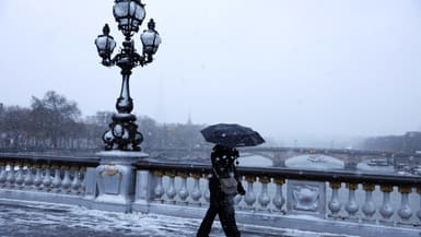 Chute de neige à Paris, le 21 novembre 2024.
