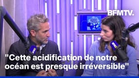 La 7e limite planétaire est franchie: pourquoi nos océans ont-ils basculé dans "une zone de danger"?