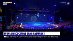 Lyon: un écocirque sans animaux mais avec des hologrammes