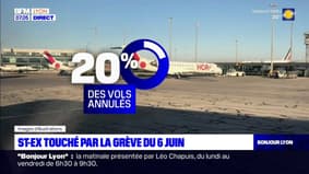 Réforme des retraites: l'aéroport Lyon-Saint-Exupéry touché par la grève du 6 juin