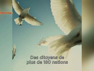 Une campagne de recrutement de la Scientologie dans le viseur de la Miviludes