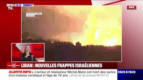 Frappes au Liban: “La loi du plus fort est en train de primer sur le droit international”, estime Mathilde Panot (LFI)