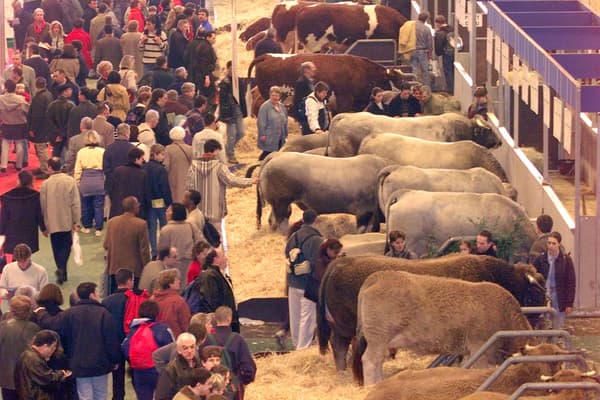 Des visiteurs devant les bovins lors du Salon international de l'agriculture, le 28 février 1999.