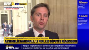 Pieyre-Alexandre Anglade (EPR) fustige "l'indignité" de Marine Le Pen au lendemain de sa condamnation