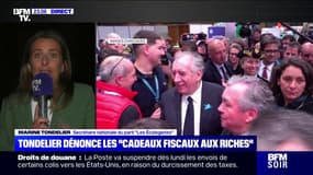 Budget 2026: "C'est quand même leur bilan… Les Mozart de la finance", lance Marine Tondelier, Secrétaire nationale du parti "Les Écologistes"