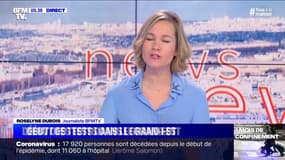 Virus: faut-il dépister massivement ? - 17/04