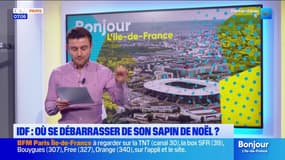 Île-de-France: où et comment se séparer de son sapin de Noël? 