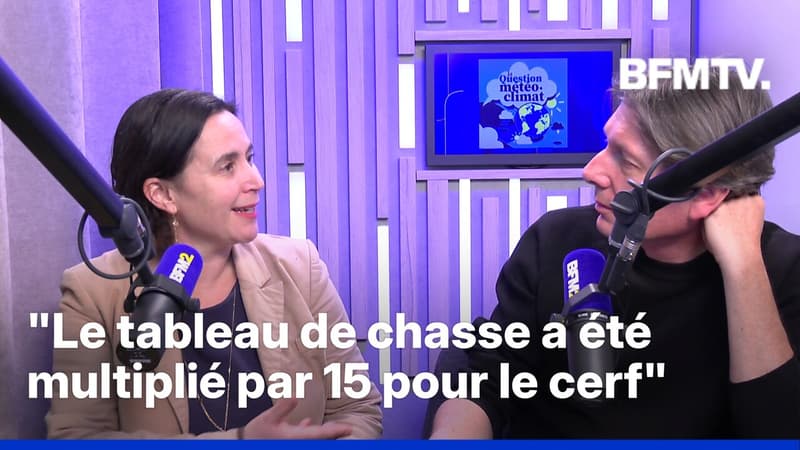 Y a-t-il trop de chevreuils, de cerfs et de sangliers en France ?